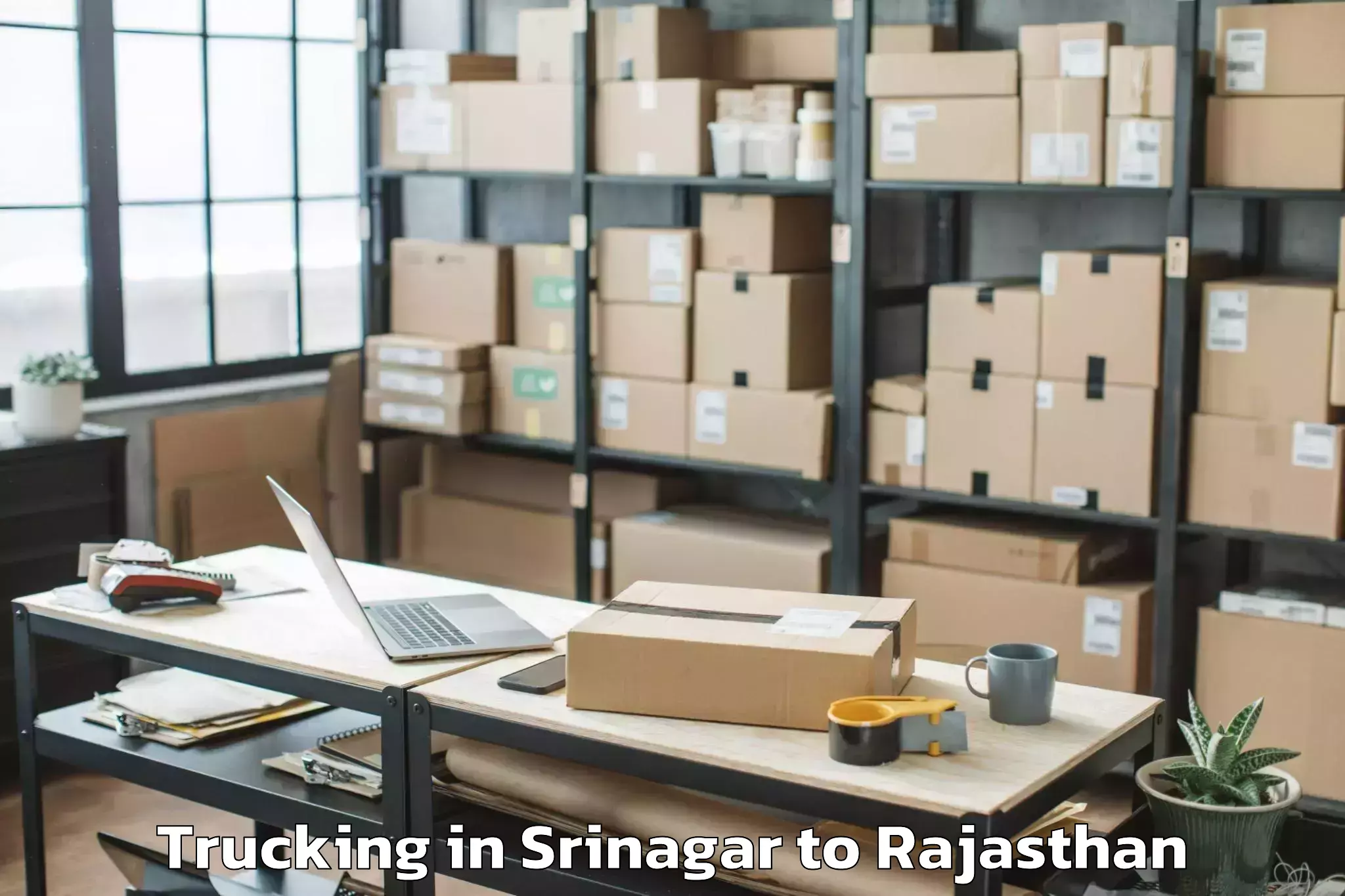 Easy Srinagar to Central University Of Rajastha Trucking Booking